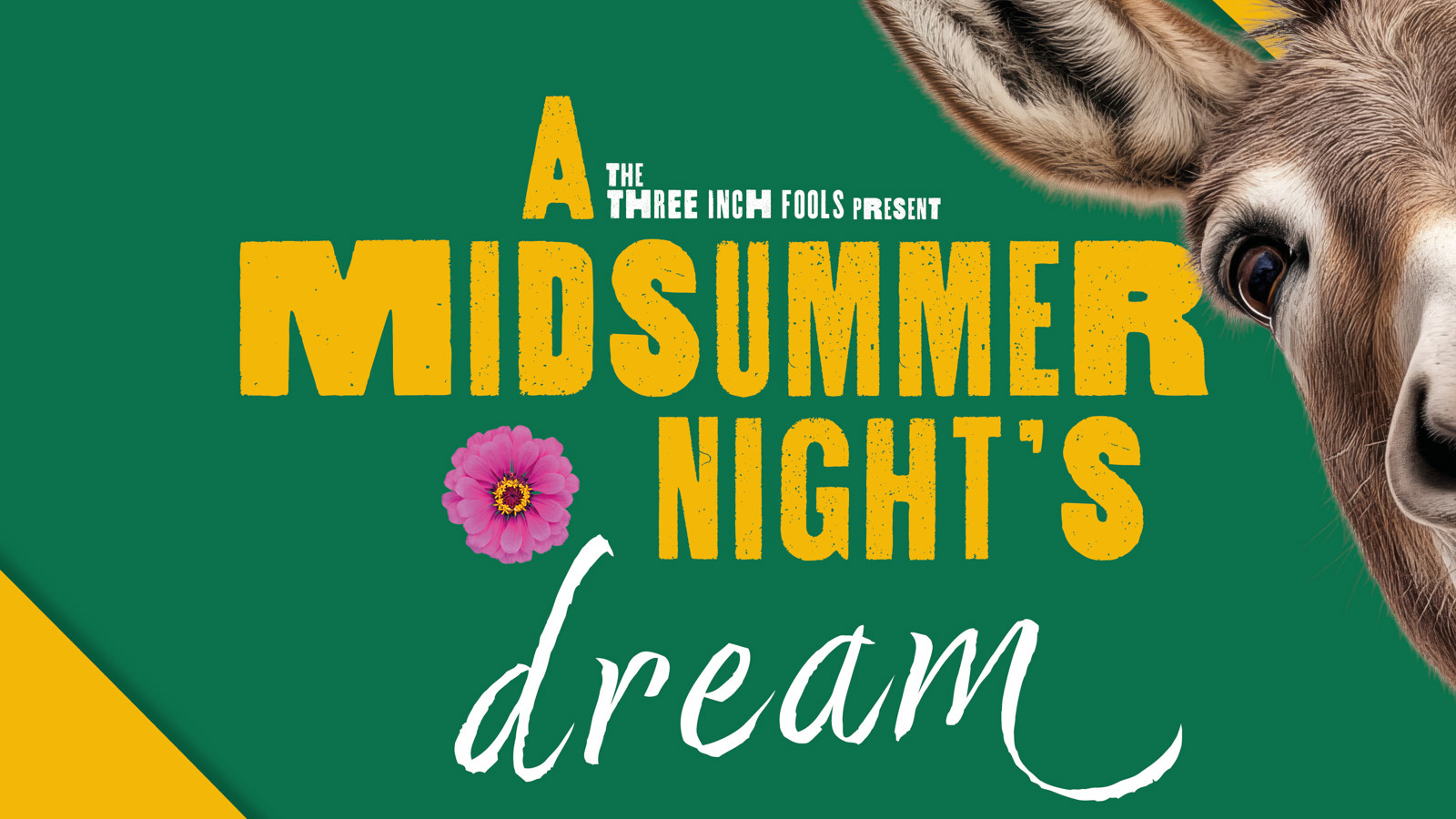 500 X 500 A Midsummer Night's Dream