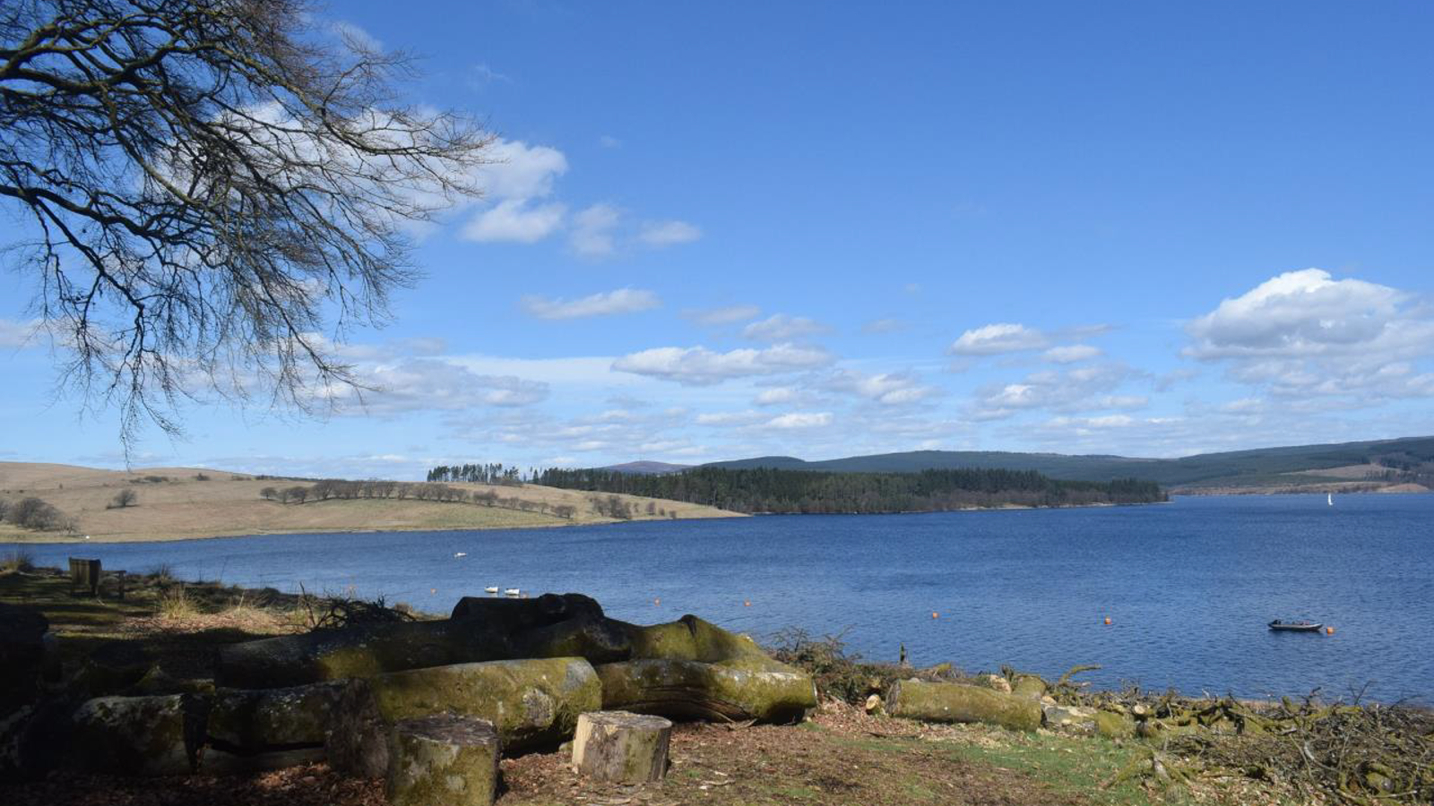 Kielder