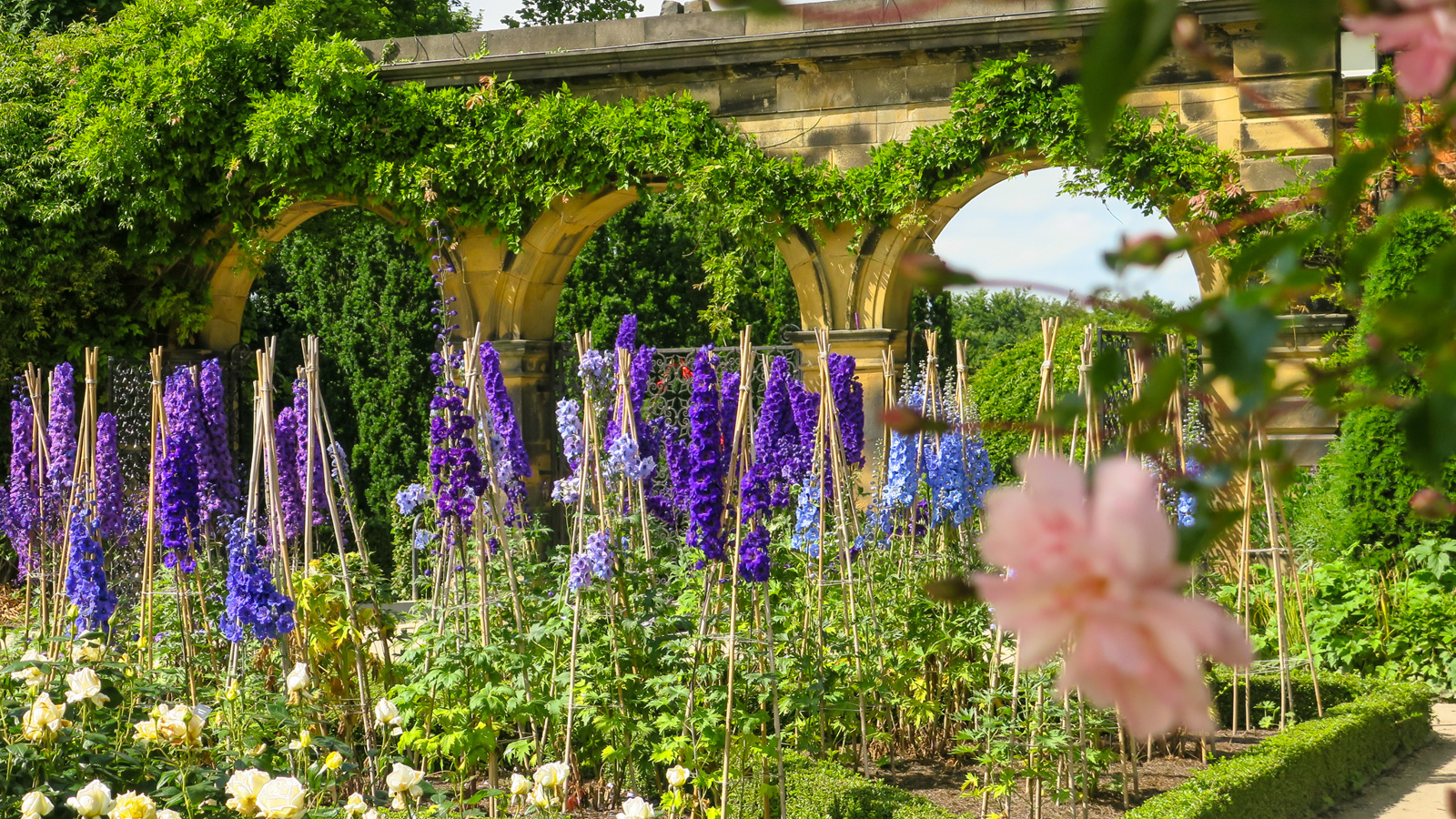 Delphiniums And Ornamenntal Garden Gates