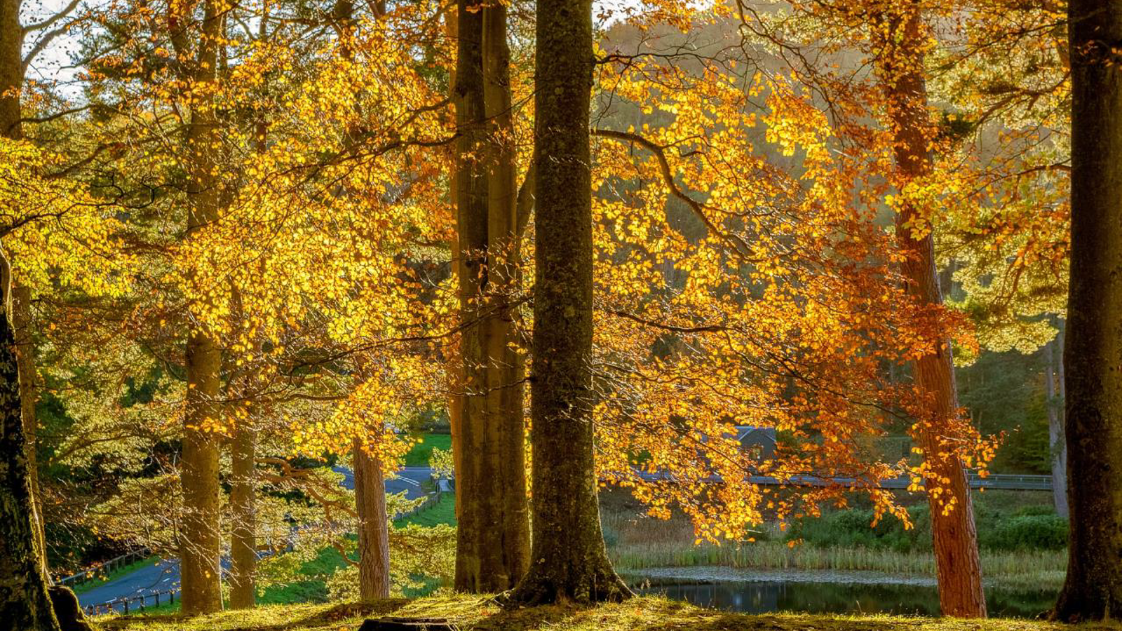 National Park