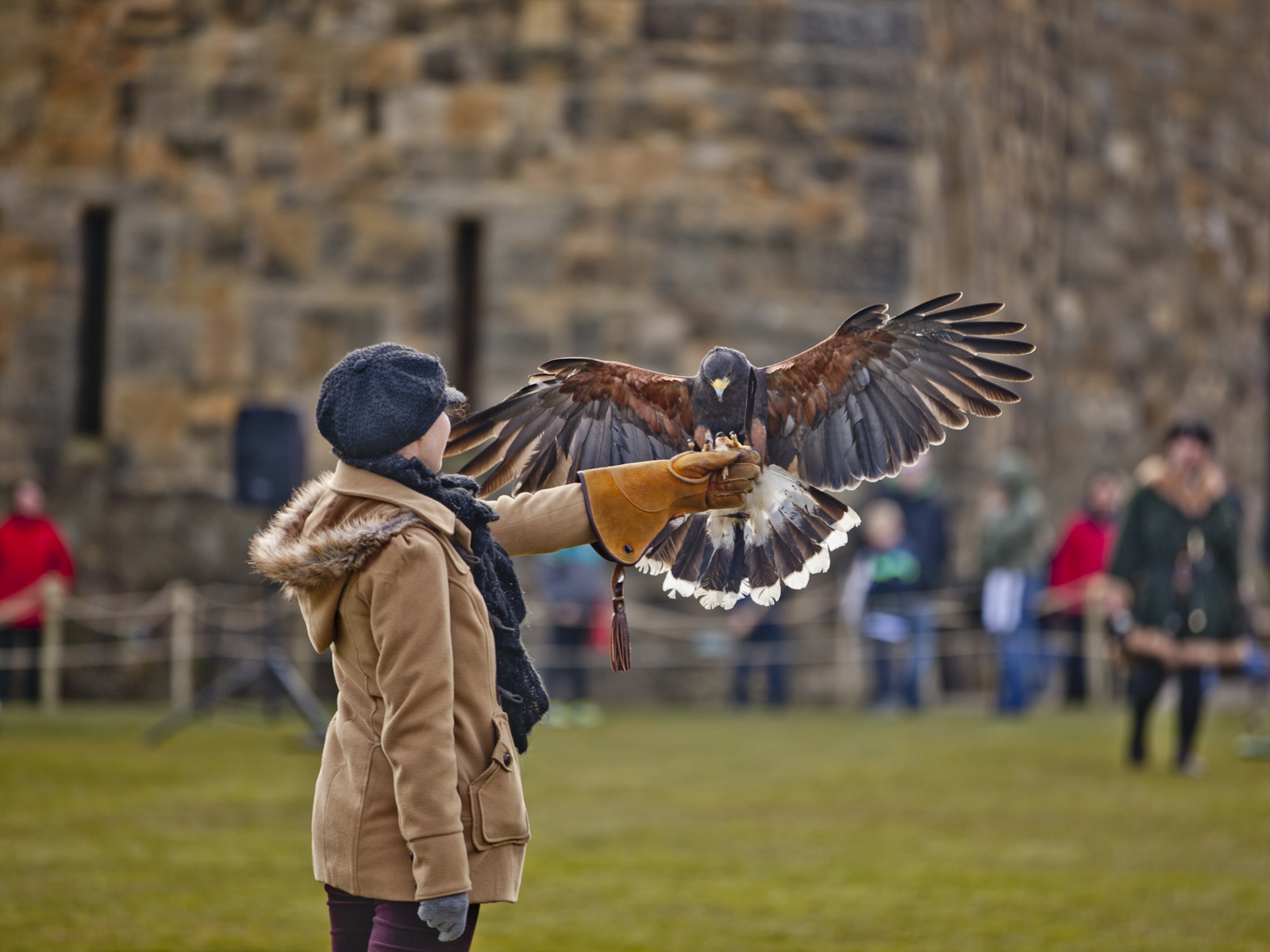 SEAN ELLIOTT PHOTOGRAPHY 235