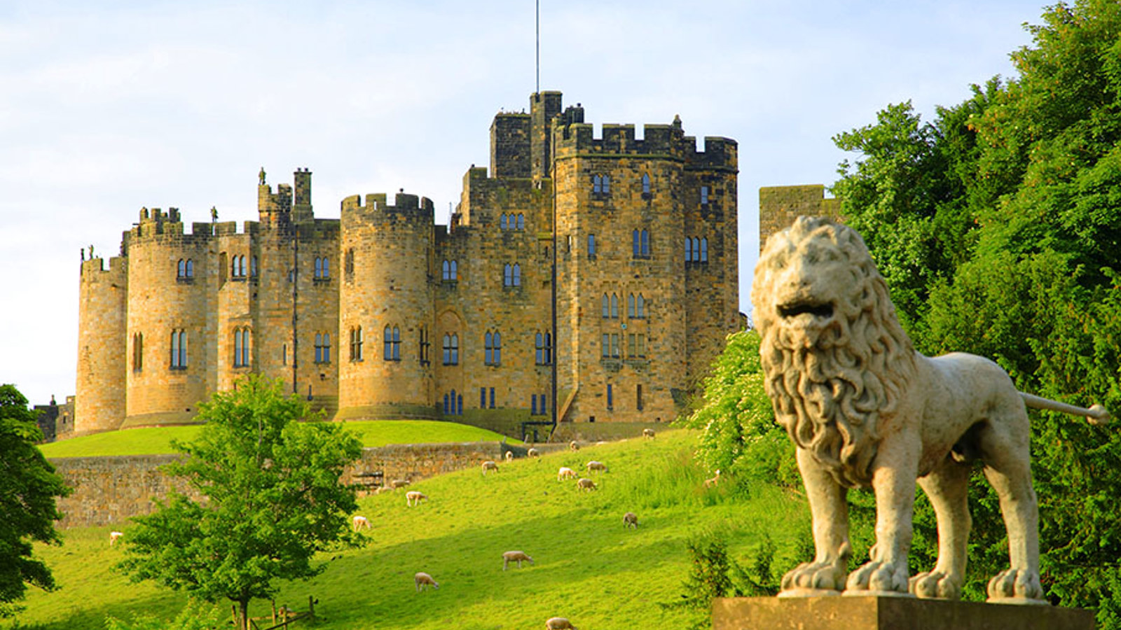 Castle With Bridge And Lion 72Dpi, 907 X 600